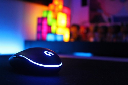 Mouse